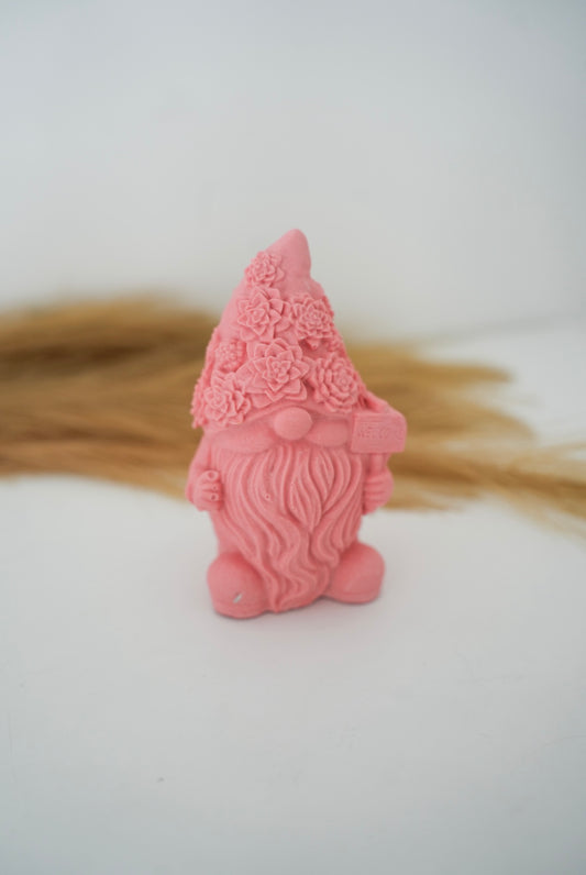 Gnome welcome