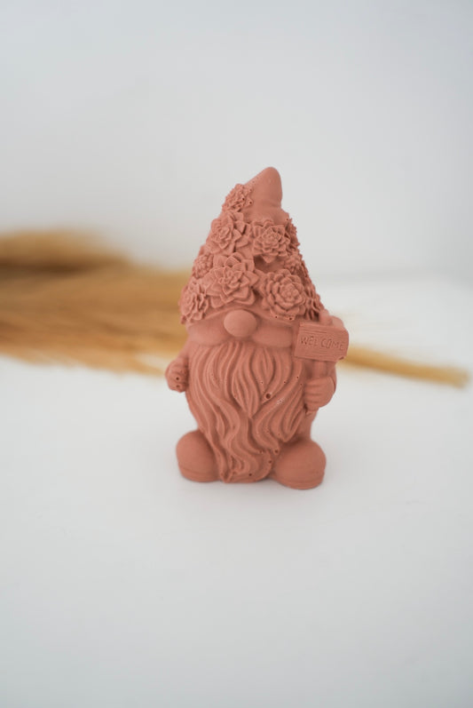 Gnome welcome
