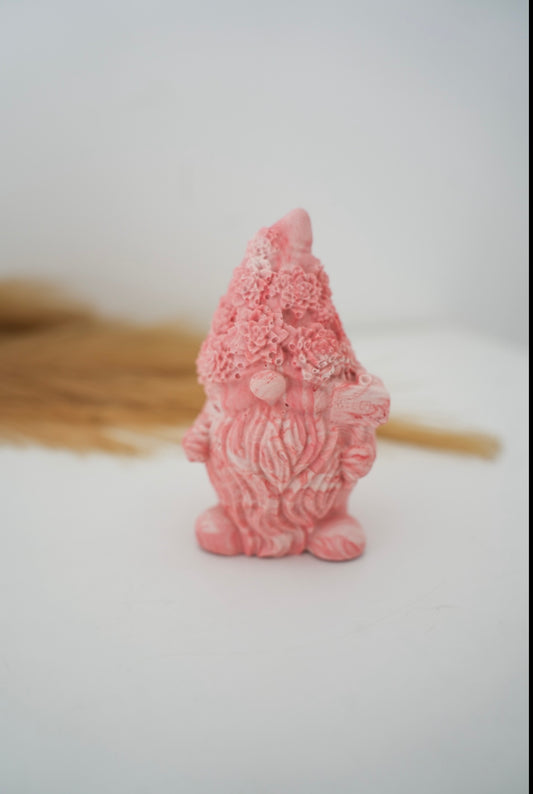 Gnome welcome
