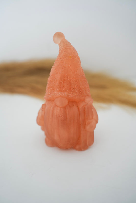 Gnome avec ses skis
