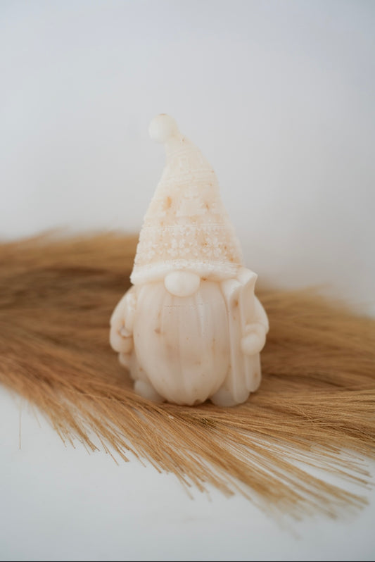 Gnome avec ses skis