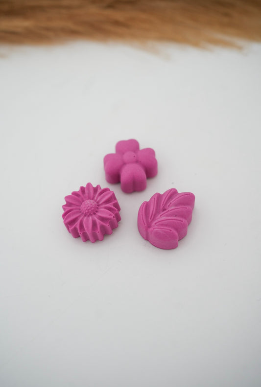 Magnets roses