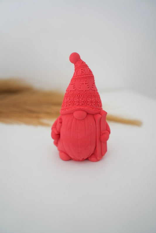 Gnome avec ses skis